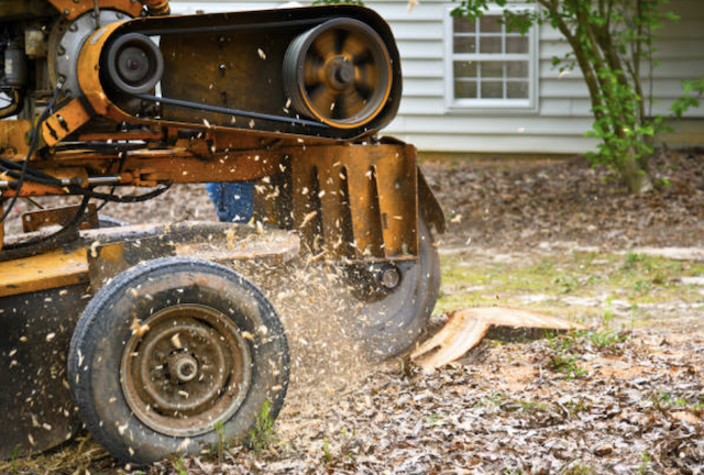 stump grinding st louis mo